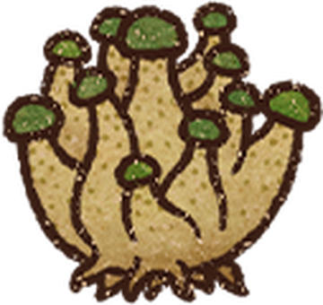 Moss Shroom, Potion Craft Wiki