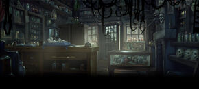 The inside of Borgin and Burkes