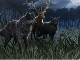 Moony, Wormtail, Padfoot and Prongs