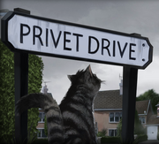 Privetdrive