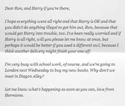 Hg's-letter