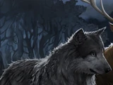Werewolves