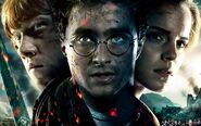 Harry-potter-on-netflix