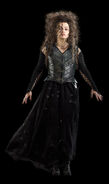 Bellatrix-DH-bellatrix-lestrange-17040774-650-1100