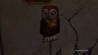 The Brown Owl in front of Eeylops