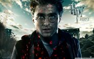 Harry-Potter-harry-potter-33045859-1920-1200