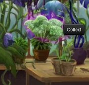 Book 2, Chapter 6, Moment 2