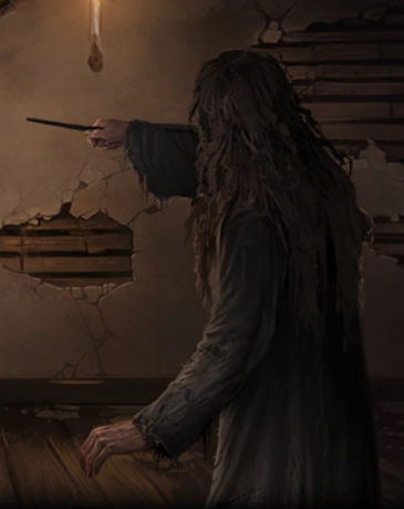 Sirius Black | Pottermore Wiki | Fandom