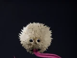 Puffskein