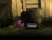 Wolfsbane in moment titled Hagrid's Wooden House.