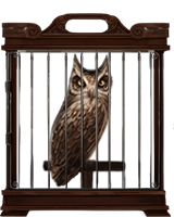 Owls, Pottermore Wiki