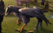 Hippogriff
