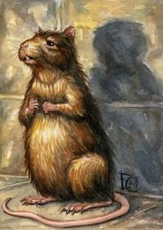 Peter Pettigrew, disguised as Scabbers