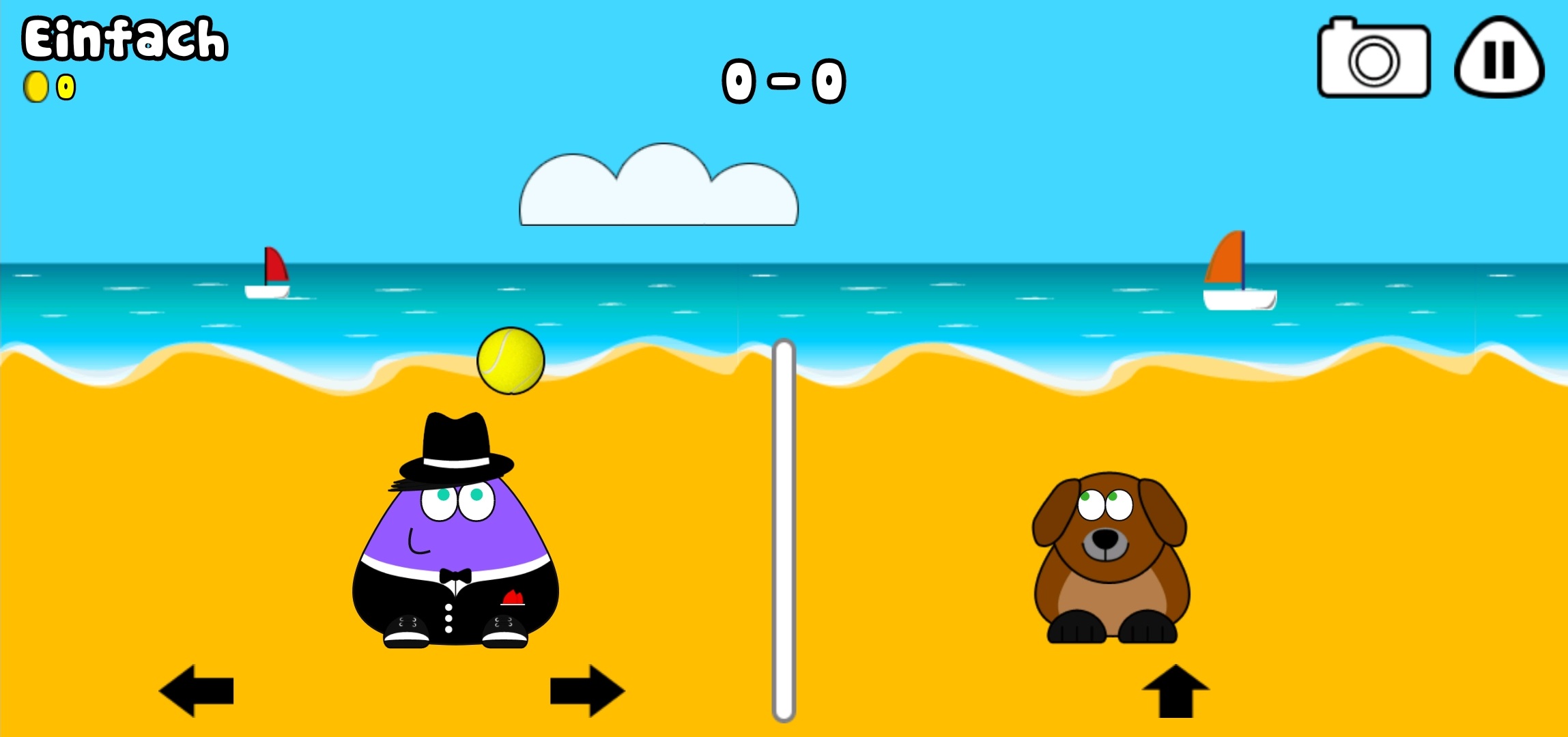 Beach Volley, Pou Wiki