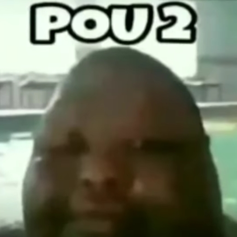 Pou (character), Pou Wiki