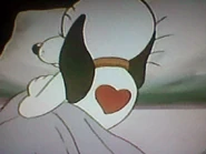 Cooler's Birthmark.jpg (41 KB) Cooler, with his birthmark.