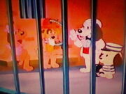 Jailbird Pound Puppies