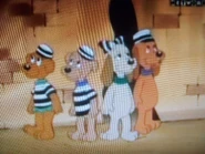 (Left to right) Pip, Rocky, Bonnie, and Clyde