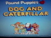 Dog and Caterpillar