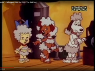 Screenshot 2021-04-29 Pound Puppies Episode 14 Whopper Gets the Point The Bird Dog - YouTube(11)