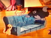Catgut's gang become a feline wrecking crew.