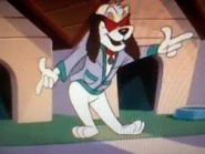 Cooler wearing sunglasses.