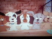 Five Scared Puppies