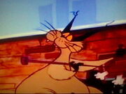 Catgut's Hobby