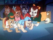 Brainwashed Pound Puppies 2