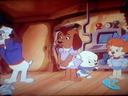 Pound Puppies Watching