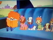 Hubert and the Pound Puppies
