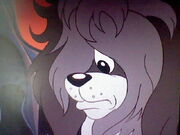 Sad Big Paw