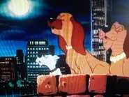 (Left to right) Dash, Chocolate, and Hairy.