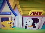 Squire(left) and Ame(right)