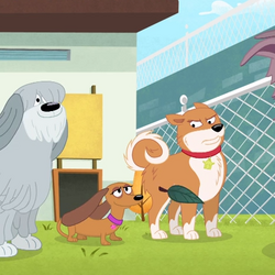 pics Pound Puppies Lucky And Dot lucky pound puppies 2010 wiki fandom