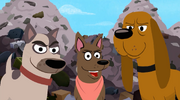 Junkyard Dogs