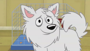 Buddy.png