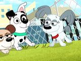 The Super Secret Pup Club