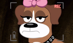 pix Pound Puppies 2010 Cookie cookie pound puppies 2010 wiki fandom