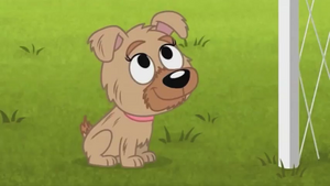 Kiki