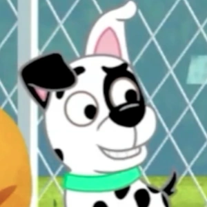 The Shocking Secret Behind the Cutest Pound Puppies Rumored to Be Waiting for Home