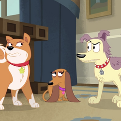 wallpapers Pound Puppies Lucky And Dot lucky pound puppies 2010 wiki fandom