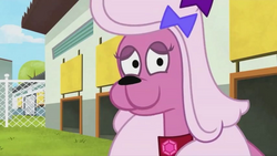 pix Pound Puppies 2010 Cookie dolly pound puppies 2010 wiki fandom
