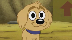 Shaggles