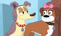 photo Pound Puppies 2010 Cookie cookie pound puppies 2010 wiki fandom