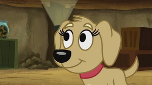 Piper