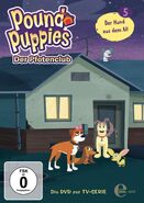 Pound Puppies Der Pfotenclub DVD Volume 5 (Front, Official)