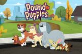 Pound-Puppies-Series-Photo