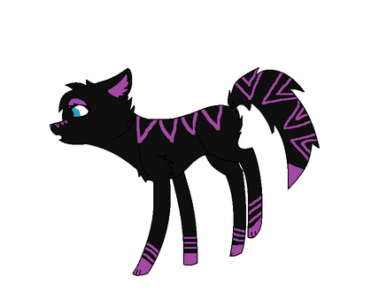MIDNIGHT.png