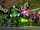 Madcap's army